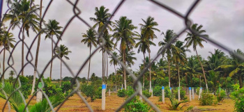  Agricultural Land for Sale in Othakalmandapam, Coimbatore