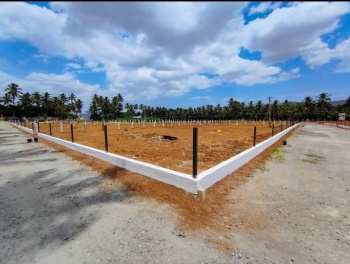  Agricultural Land for Sale in Pannimadai, Coimbatore