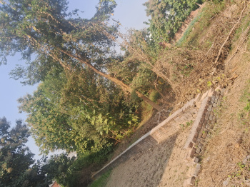  Residential Plot for Sale in Akbarpur, Ambedkar Nagar