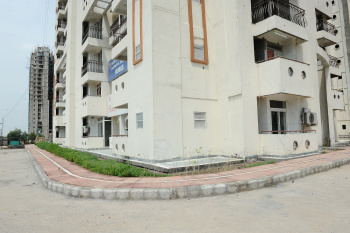  Residential Plot for Sale in Sector 143A, Noida, 