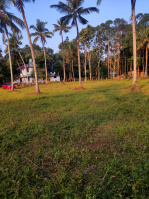  Residential Plot for Sale in Sooranad North, Kollam