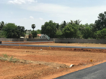  Residential Plot for Sale in Allithurai, Tiruchirappalli