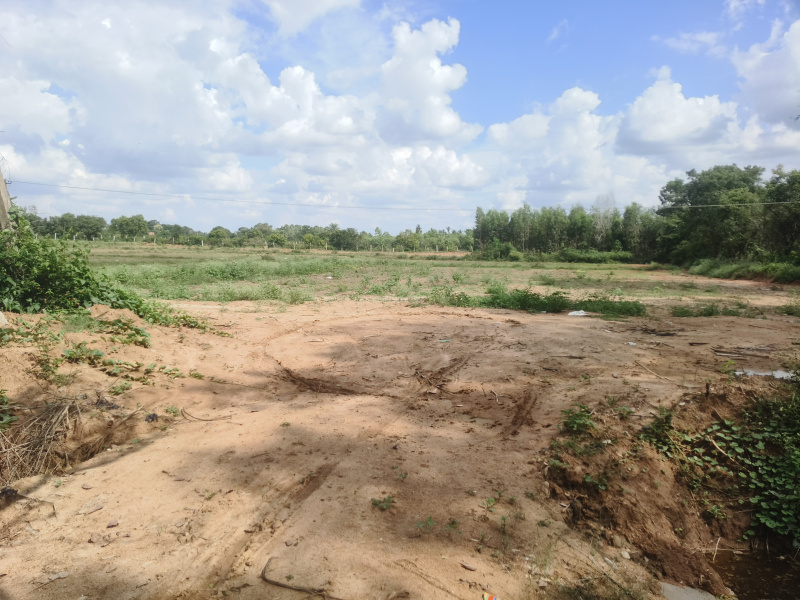 30 Guntha Agricultural/Farm Land for Sale in Mulbagal, Kolar