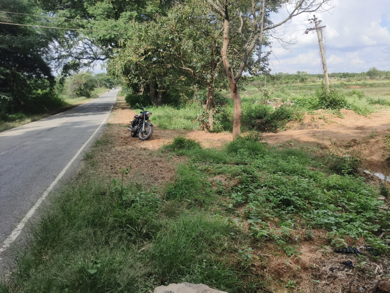 30 Guntha Agricultural/Farm Land for Sale in Mulbagal, Kolar