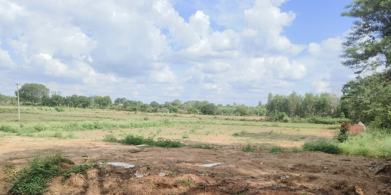 30 Guntha Agricultural/Farm Land for Sale in Mulbagal, Kolar