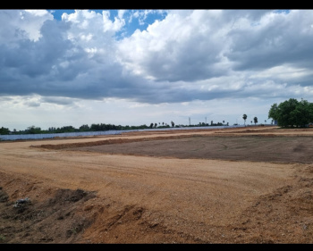  Residential Plot for Sale in Panjapur, Tiruchirappalli