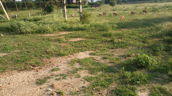  Agricultural Land for Sale in Nambiyur, Erode