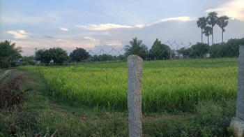  Agricultural Land for Sale in Kunnathur, Tirupur