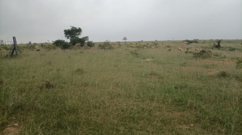  Agricultural Land for Sale in Veerapandi, Coimbatore