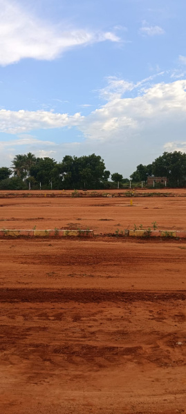  1200 Sq.ft. Residential Plot for Sale in Panjapur, Tiruchirappalli