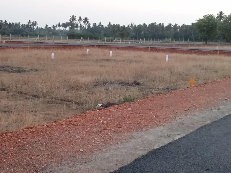  1200 Sq.ft. Residential Plot for Sale in Allithurai, Tiruchirappalli