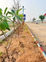  Residential Plot for Sale in Ajmer Road, Jaipur