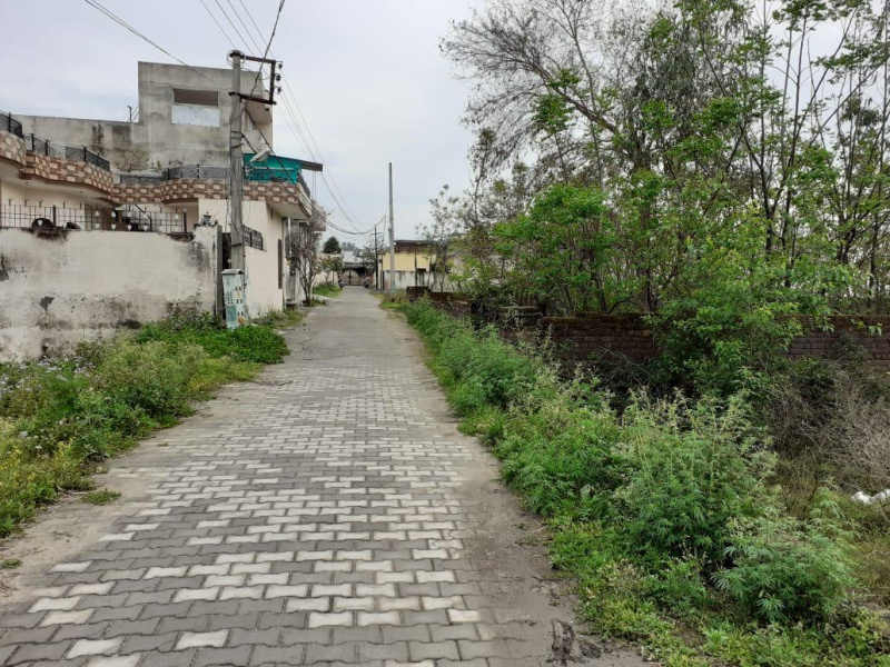  Residential Plot 1760 Sq.ft. for Sale in Dasuya, Hoshiarpur