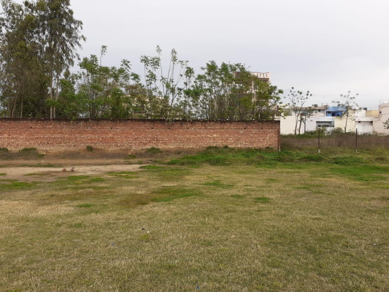  Residential Plot 7 Marla for Sale in Dasuya, Hoshiarpur