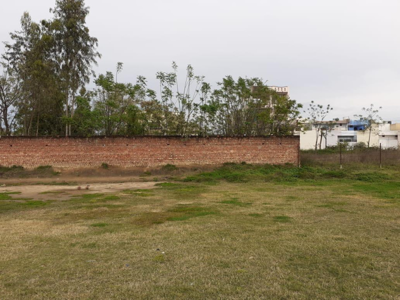  Residential Plot 7 Marla for Sale in Dasuya, Hoshiarpur