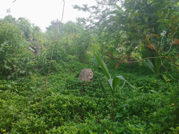  Agricultural Land for Sale in Melmaruvathur, Chennai