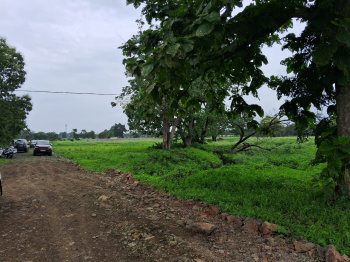  Agricultural Land for Sale in Mhow, Indore