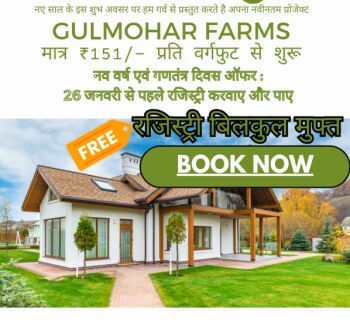  Agricultural Land for Sale in Anjora, Durg