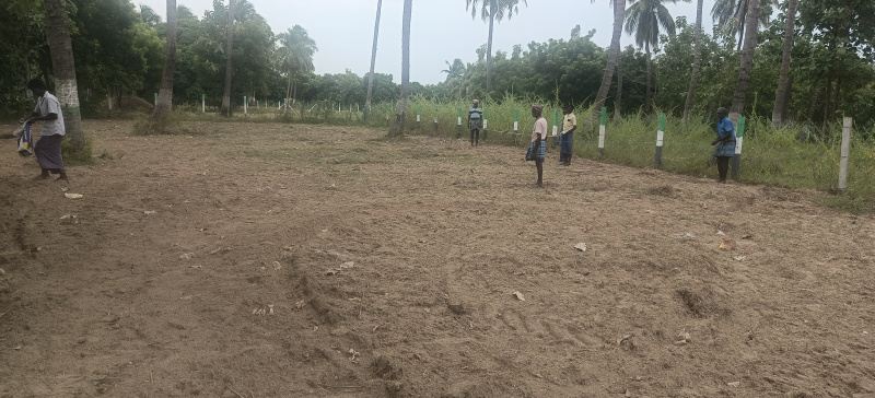  Agricultural Land 174400 Sq.ft. for Sale in Marakkanam, Villupuram