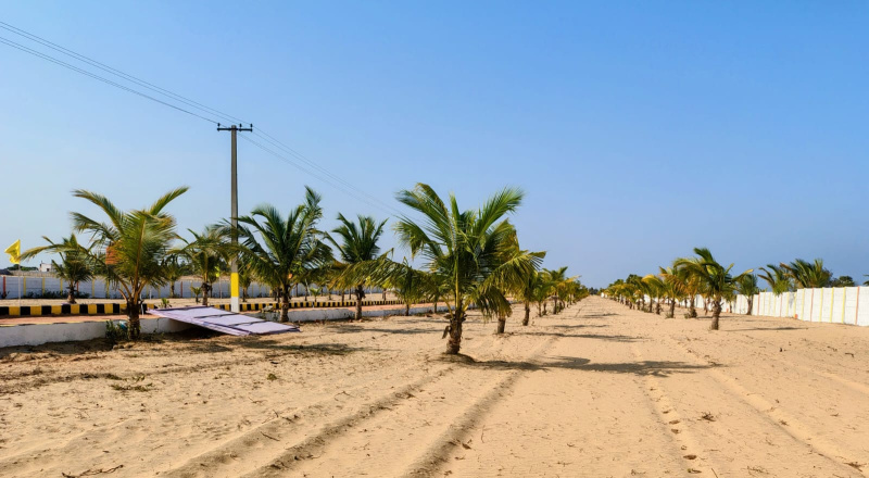  Agricultural Land 7000 Sq.ft. for Sale in Marakkanam, Villupuram