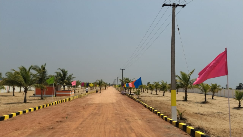  Agricultural Land 13020 Sq.ft. for Sale in Marakkanam, Villupuram