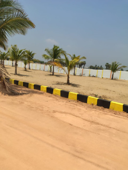  Agricultural Land for Sale in Marakkanam, Villupuram