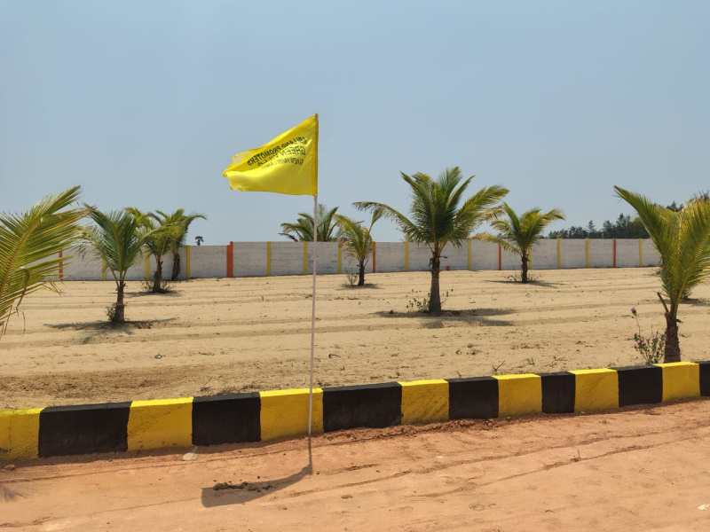  Agricultural Land 9628 Sq.ft. for Sale in Marakkanam, Villupuram