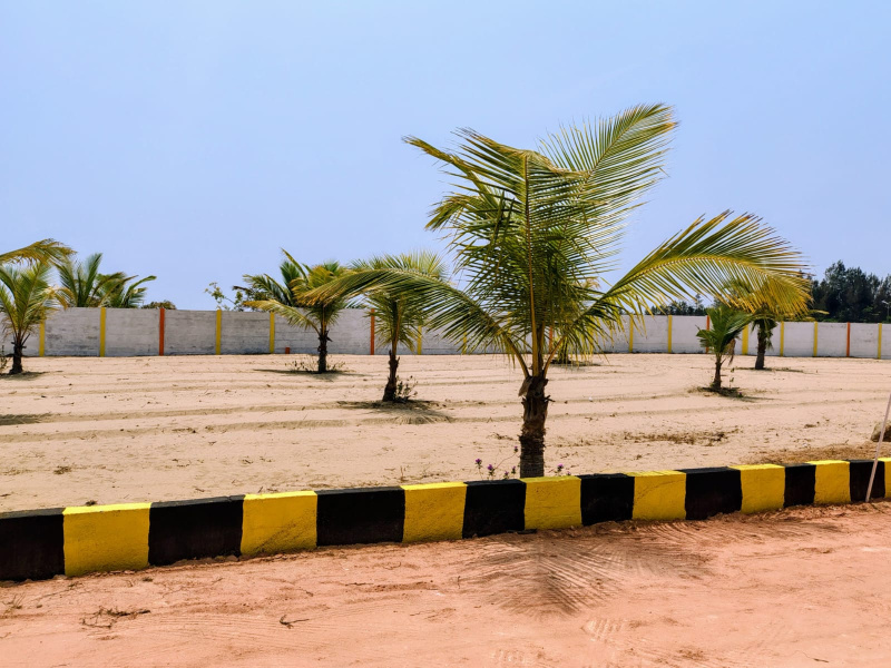  Residential Plot 7920 Sq.ft. for Sale in Marakkanam, Villupuram