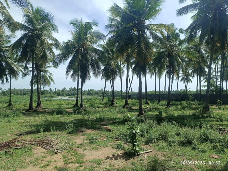  9190 Sq.ft. Agricultural/Farm Land for Sale in Pudupattinam, Chengalpattu