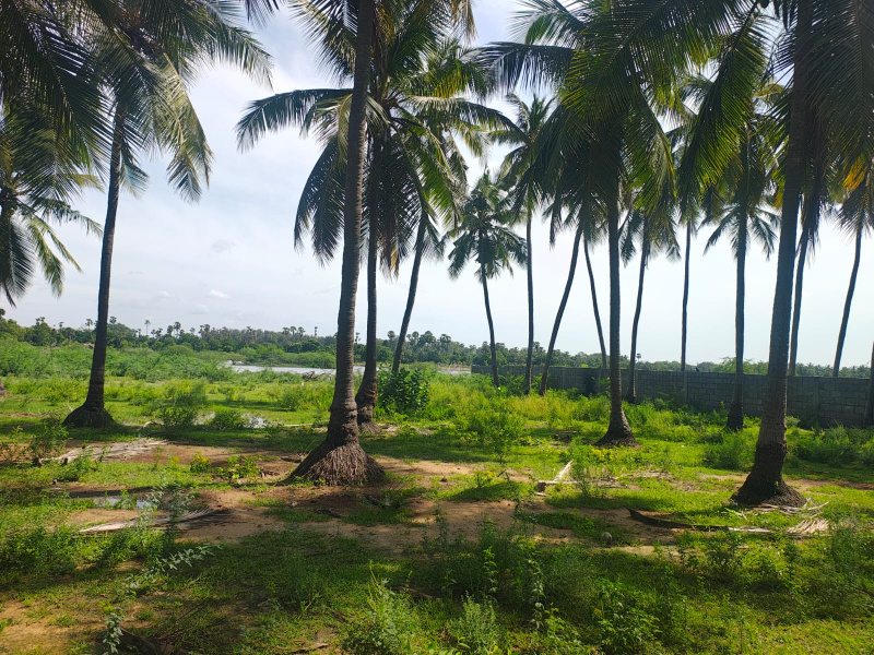  9190 Sq.ft. Agricultural/Farm Land for Sale in Pudupattinam, Chengalpattu