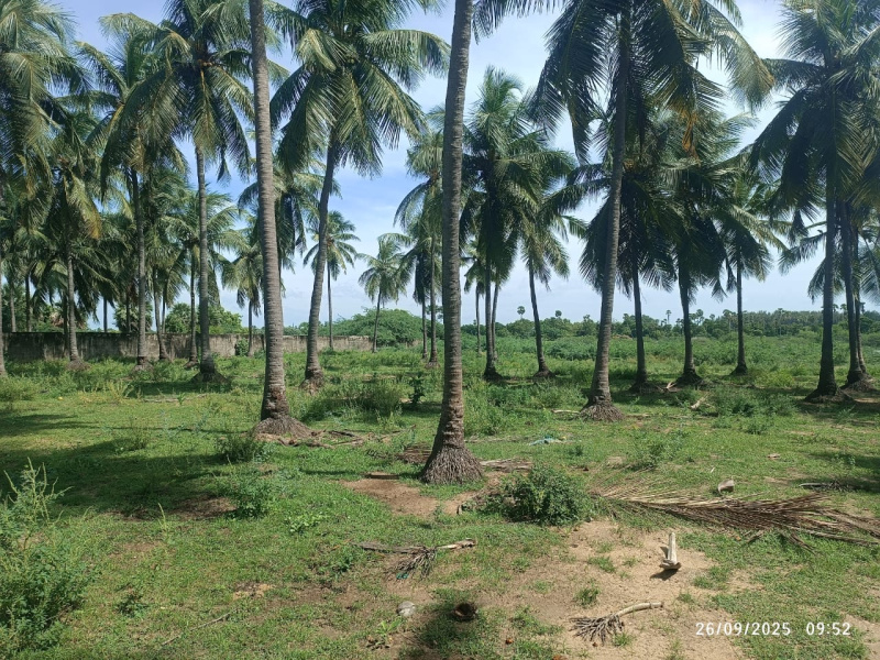  9190 Sq.ft. Agricultural/Farm Land for Sale in Pudupattinam, Chengalpattu