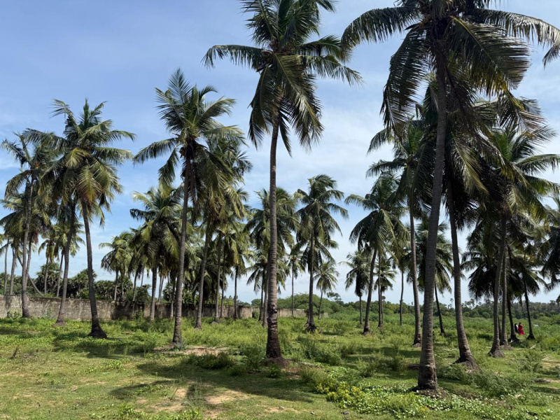  9190 Sq.ft. Warehouse for Sale in Pudupattinam, Chengalpattu