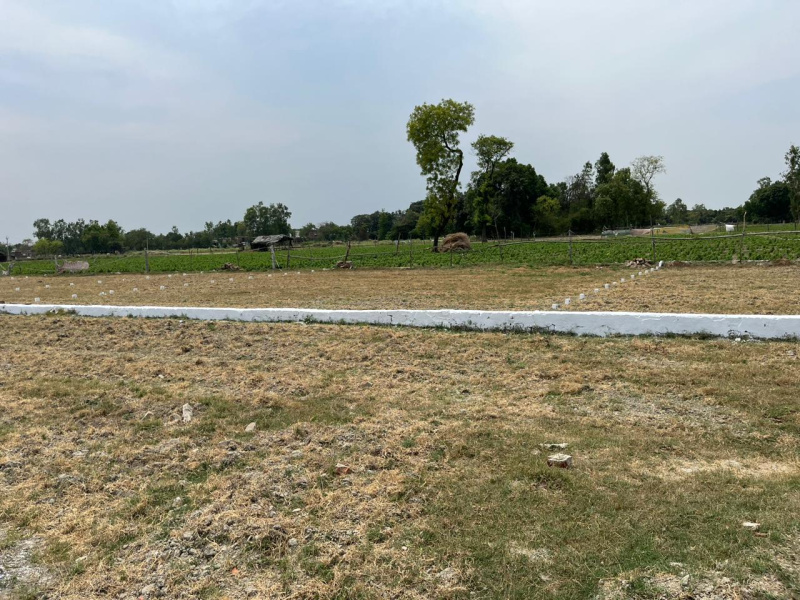  Residential Plot 1000 Sq.ft. for Sale in Lucknow Faizabad Highway