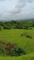  Agricultural Land for Sale in Shrivardhan, Raigad