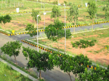  Residential Plot for Sale in Sector 92 Gurgaon