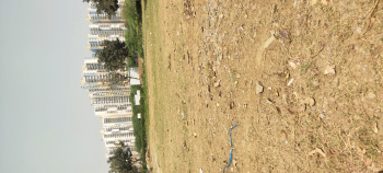  Residential Plot for Sale in Sector 84 Gurgaon