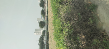  Residential Plot for Sale in Sector 91 Gurgaon