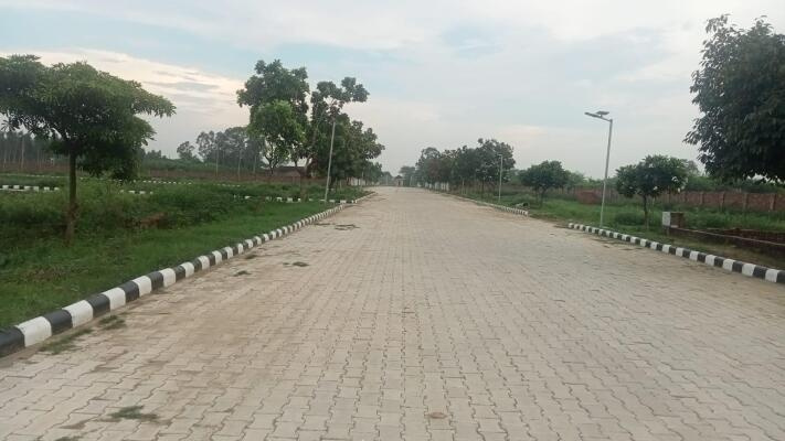  Residential Plot 125 Sq.ft. for Sale in Sector 113 Mohali