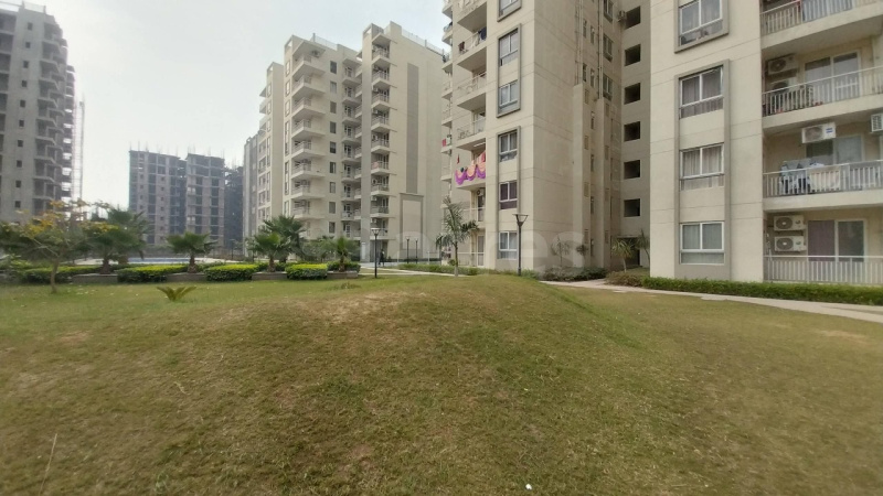  1125 Sq.ft. Residential Plot for Sale in Sector 114 Mohali