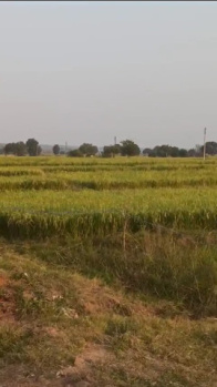  Agricultural Land for Sale in Badi, Raisen