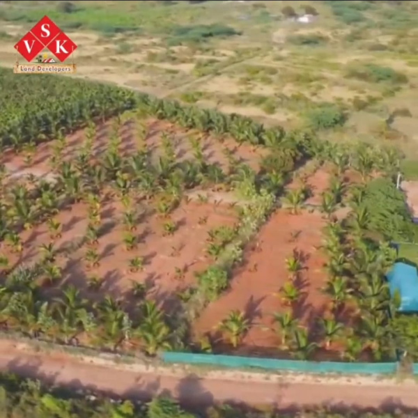  25 Cent Residential Plot for Sale in Sirumugai, Coimbatore