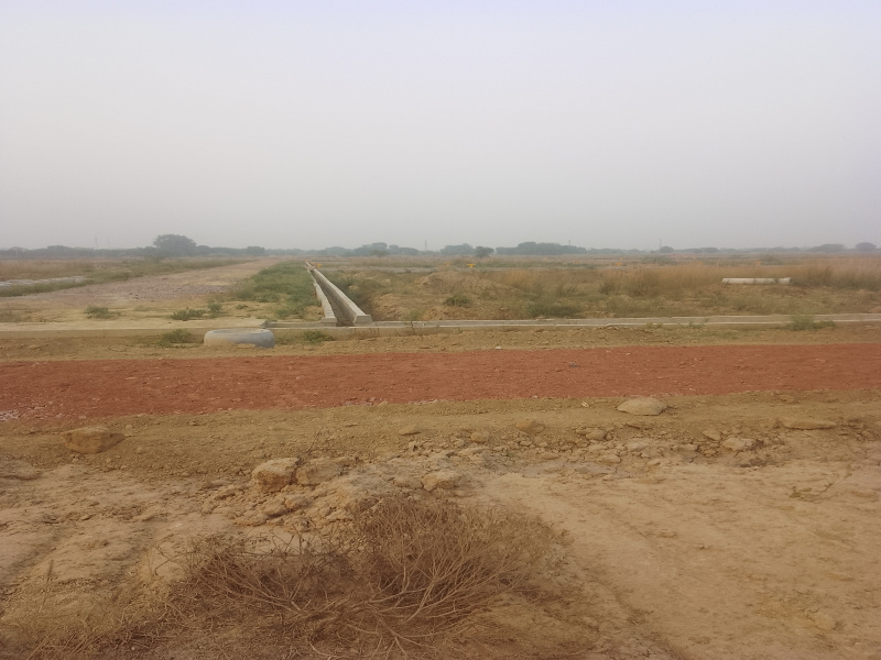  Residential Plot 300 Sq. Meter for Sale in Yamuna Expressway, Greater Noida