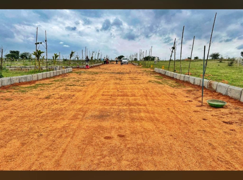  Residential Plot 121 Sq.ft. for Sale in Achampet, Nagarkurnool