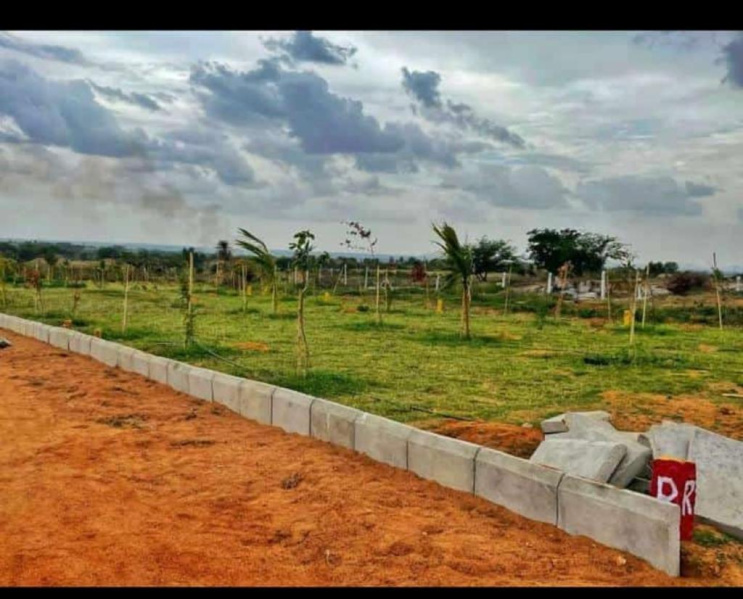  Residential Plot 121 Sq.ft. for Sale in Achampet, Nagarkurnool