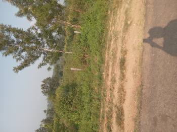  Agricultural Land for Sale in HD Kote Road, Mysore
