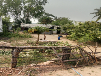  Residential Plot for Sale in Anumula, Nalgonda