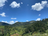  Agricultural Land for Sale in Kodaikanal, Dindigul