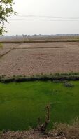  Agricultural Land for Sale in GT Road, Mughalsarai