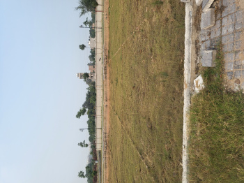  Agricultural Land for Sale in Pachgaon, Gurgaon