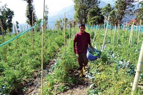  Farm House 187 Dismil for Sale in Burmu, Ranchi